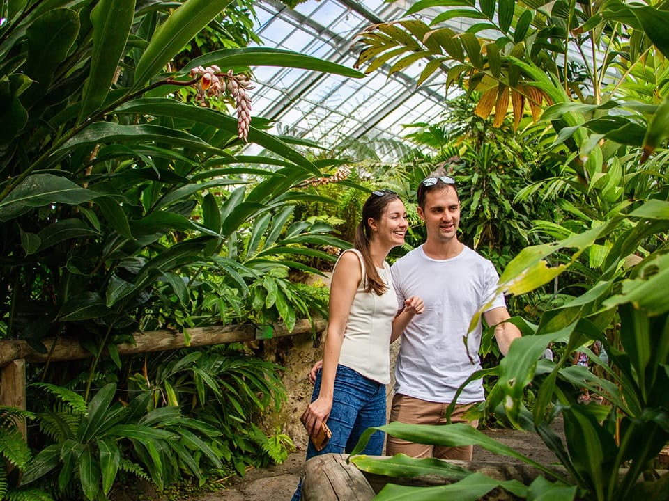 Australian Butterfly Sanctuary