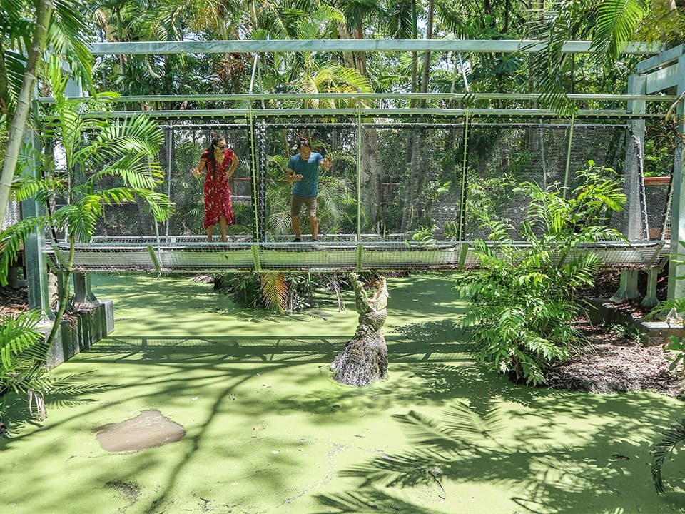 Wildlife Habitat Port Douglas
