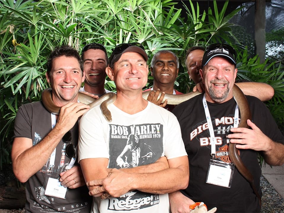 Cairns events